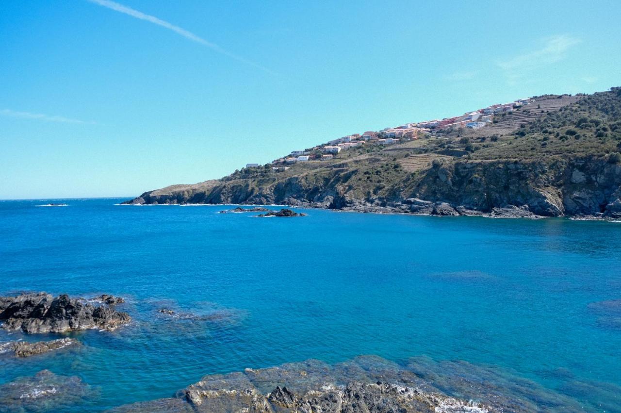 F3 En Bord De Mer Avec Piscine Cerbère Εξωτερικό φωτογραφία