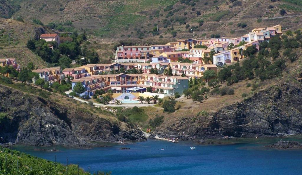 F3 En Bord De Mer Avec Piscine Cerbère Εξωτερικό φωτογραφία