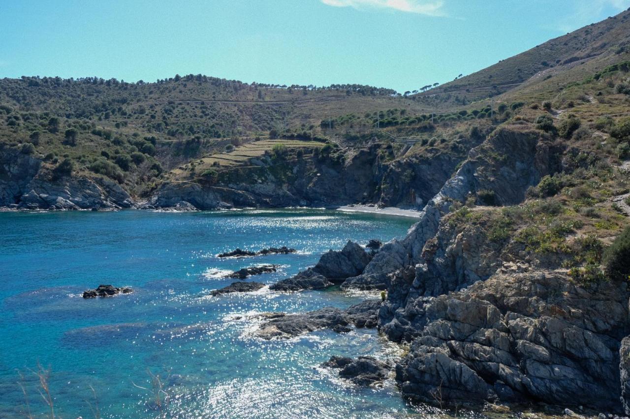 F3 En Bord De Mer Avec Piscine Cerbère Εξωτερικό φωτογραφία